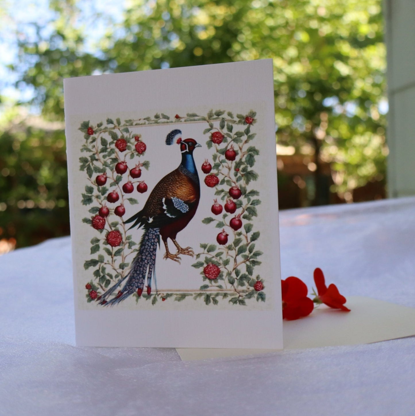 Single Greetings Card - Wild Peacock
